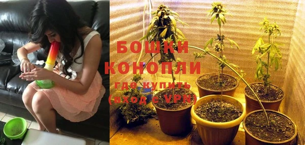 крисы Богородск