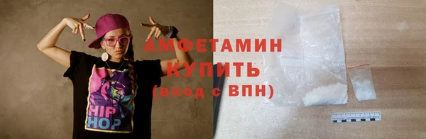 гидра Богданович